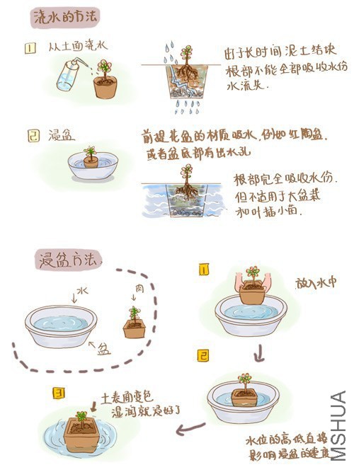 t010f9a04b5b3e8ae83.jpg