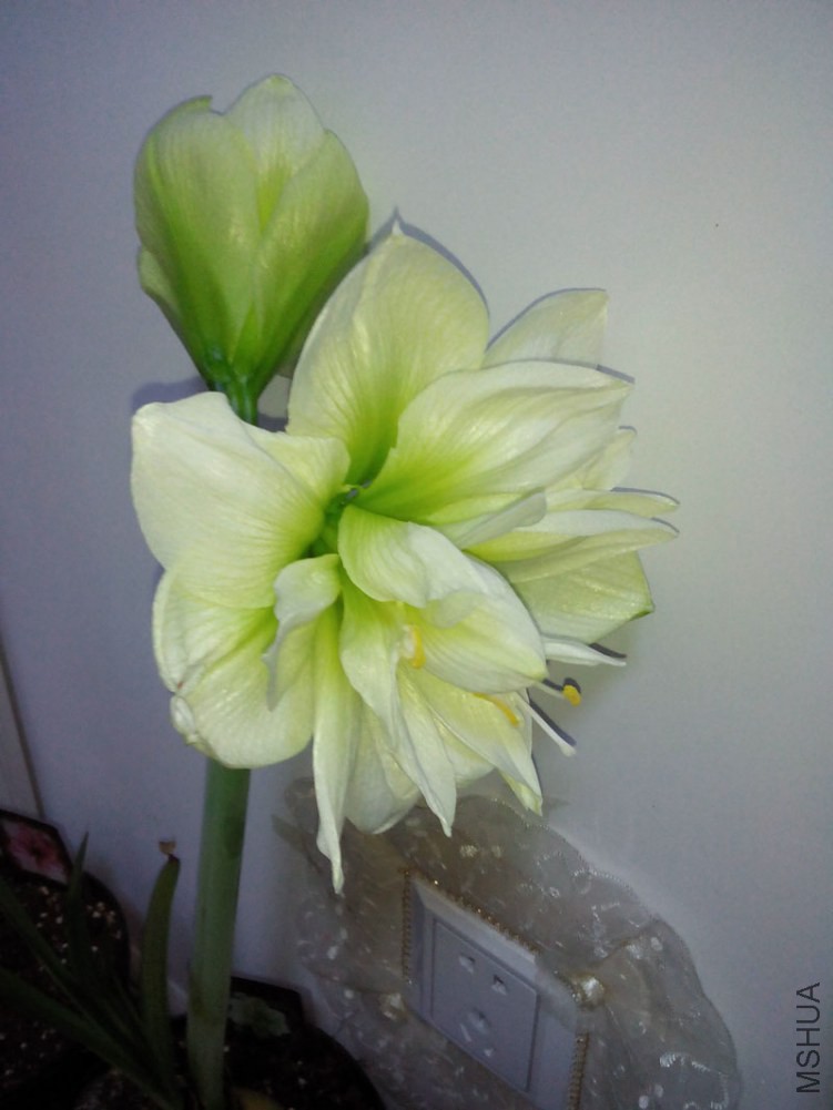 IMG20150105180209.jpg