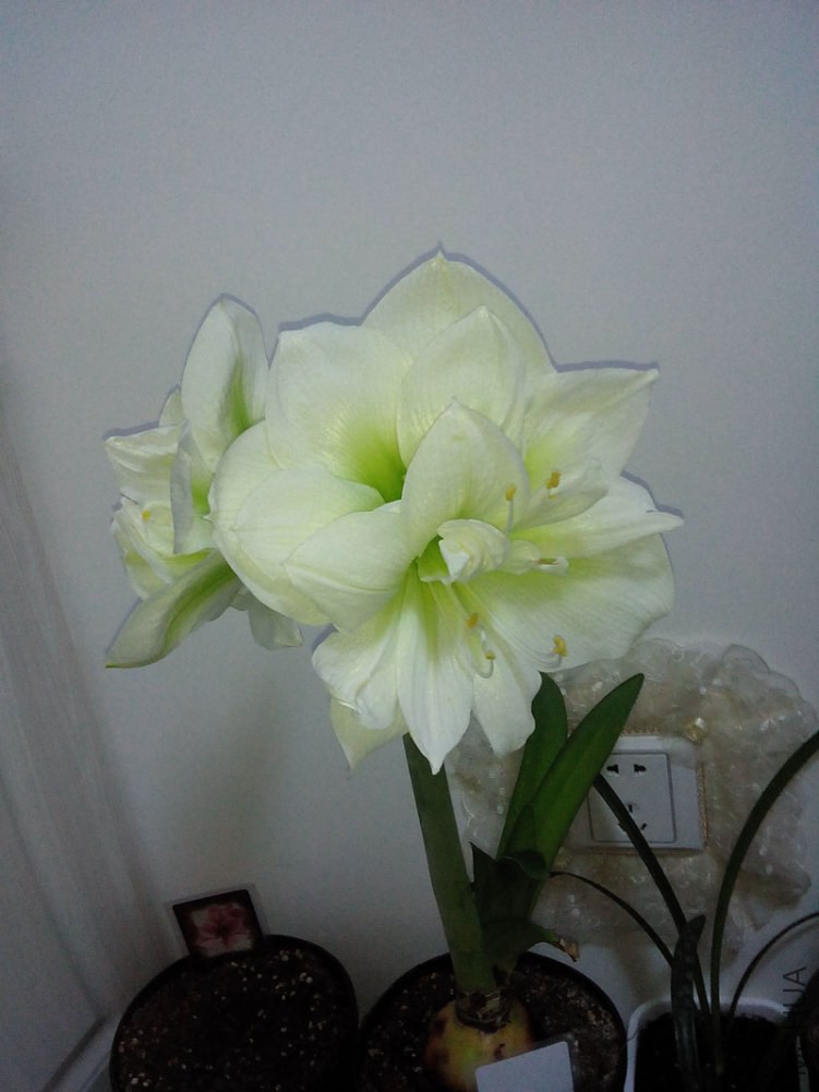 IMG20150107212521.jpg