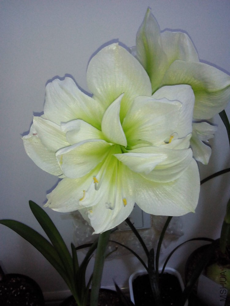 IMG20150107212621.jpg