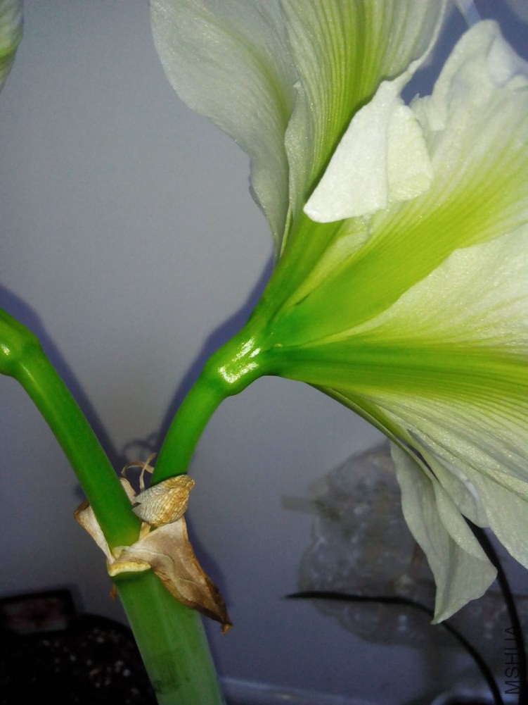 IMG20150107212935.jpg