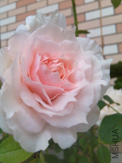 QQͼƬ20150108161251.jpg
