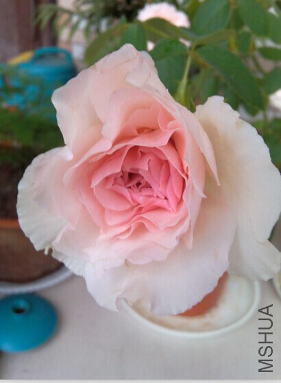 QQͼƬ20150108161104.jpg