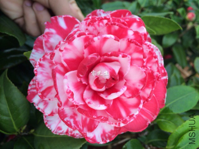 ������õ��