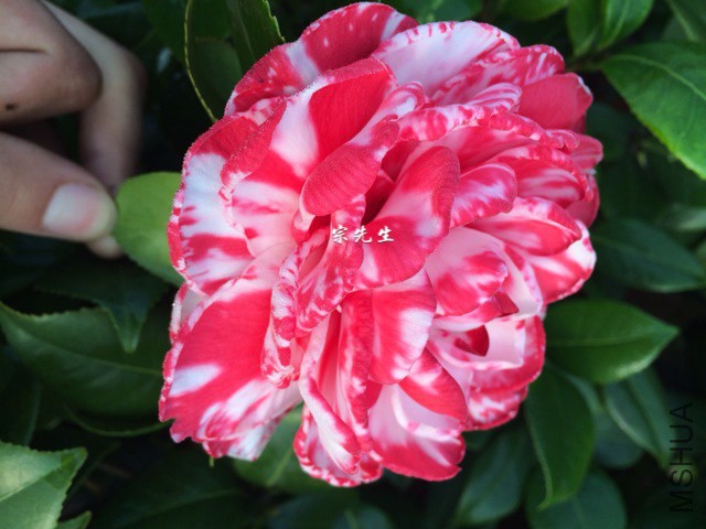 ������õ��