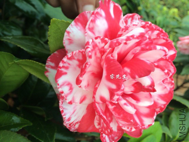 ������õ��