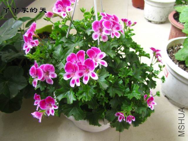 155647z10444qh4eh20jpu.jpg