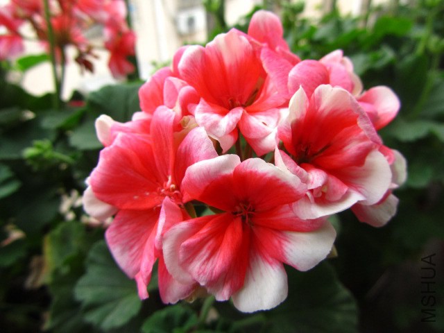 163557c0wu38r6suw3600u.jpg