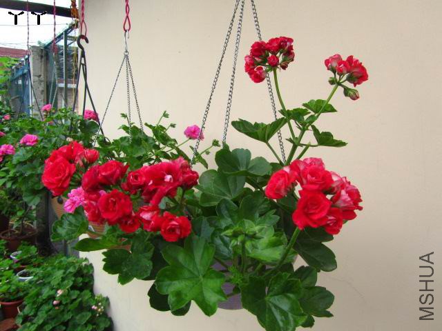 IMG_6279.jpg
