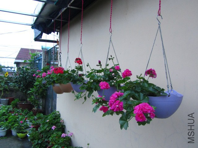 IMG_6342.jpg