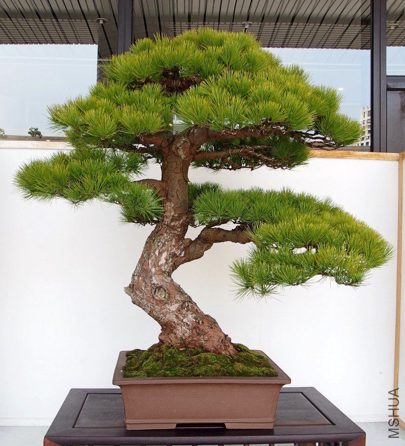 ���~��-�S�f�R .JPG