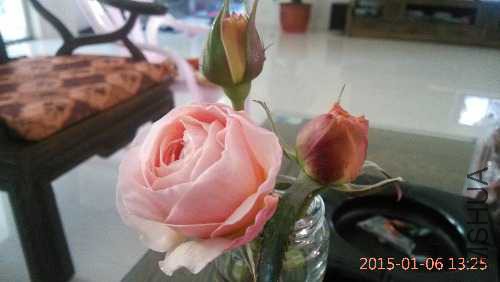 IMG_20150106_132548.jpg