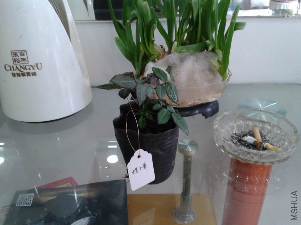 ��ת ������С 20150110_131447.jpg