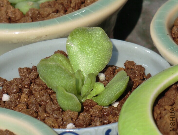 QQͼƬ20150110143925.jpg