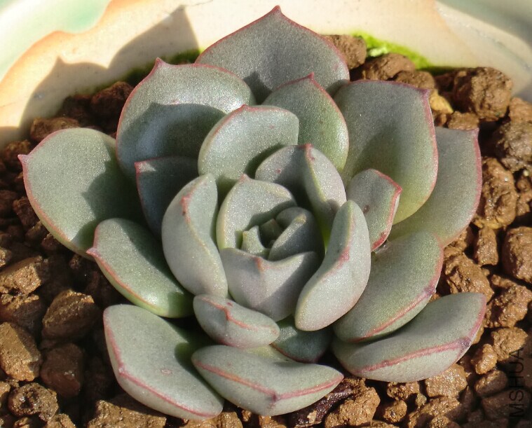 QQͼƬ20150110144307.jpg