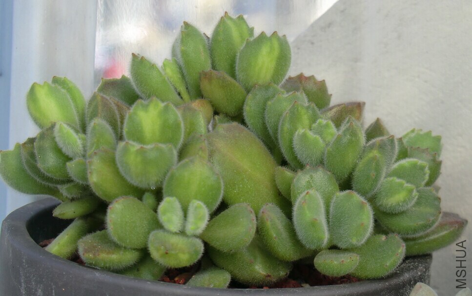 QQͼƬ20150110144353.jpg