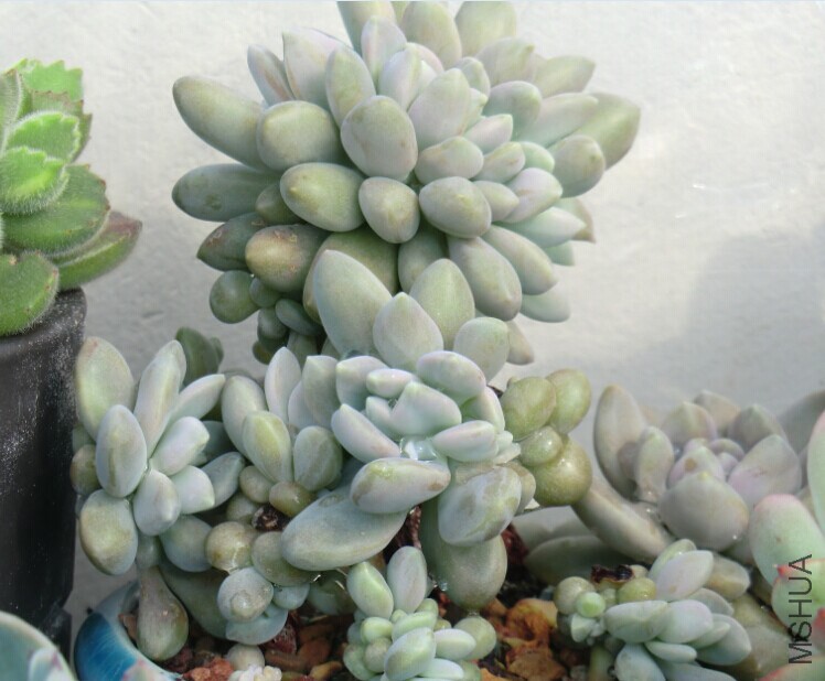 QQͼƬ20150110144442.jpg