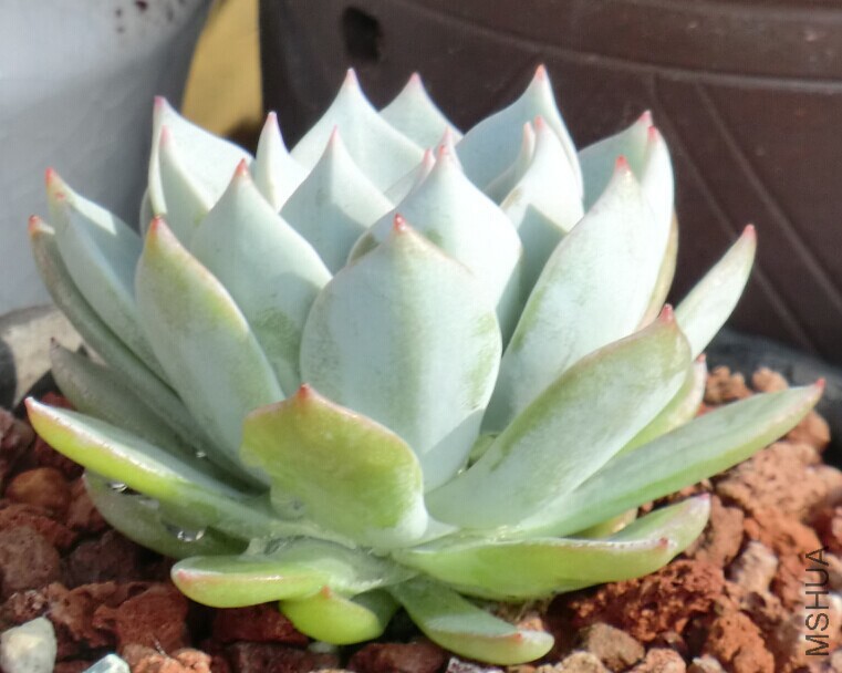 QQͼƬ20150110144502.jpg