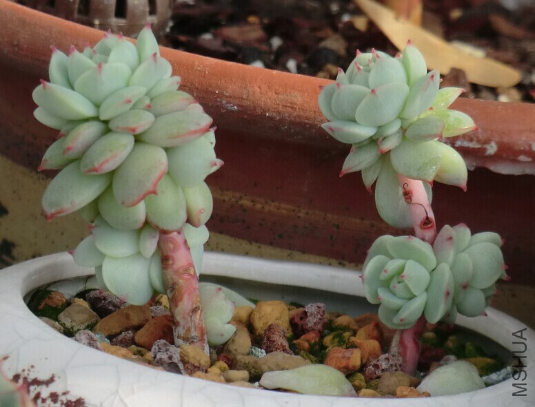 QQͼƬ20150110144550.jpg