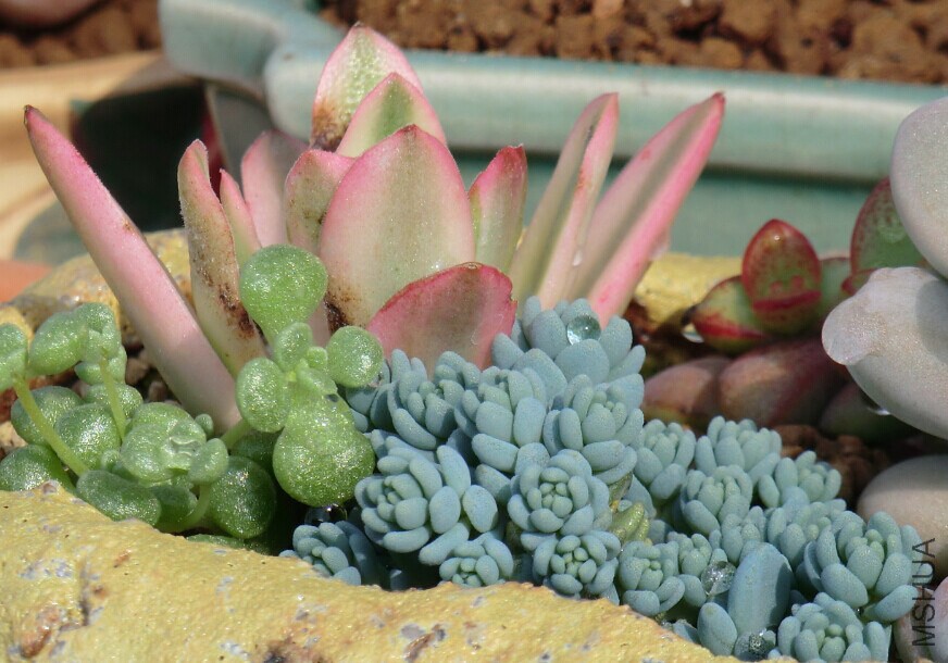 QQͼƬ20150110144731.jpg