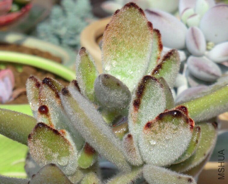 QQͼƬ20150110145646.jpg