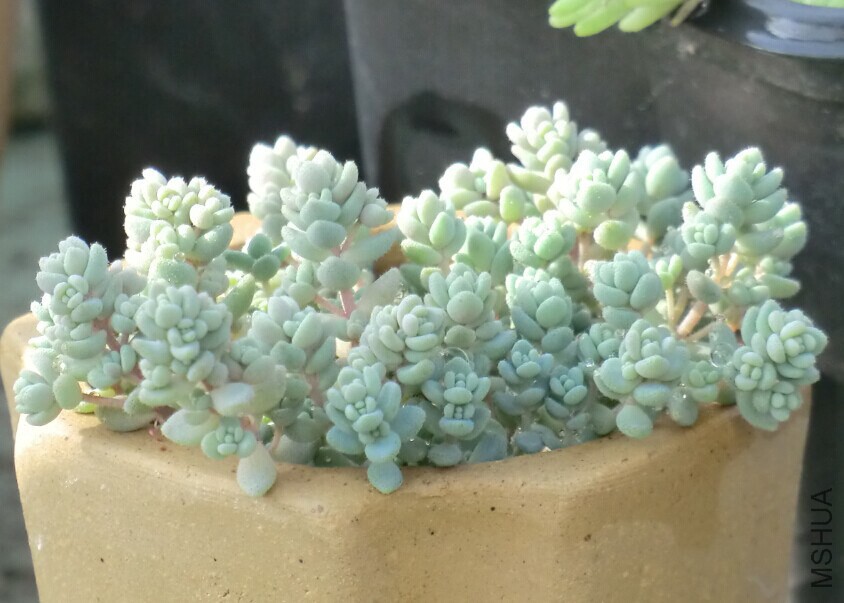QQͼƬ20150110145840.jpg