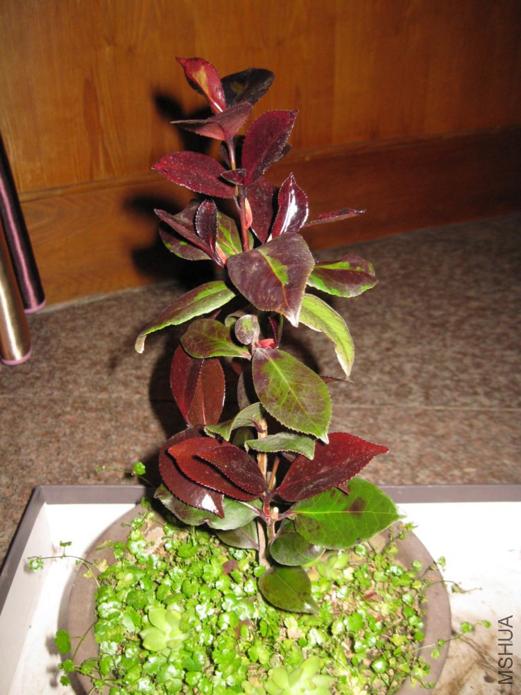 �ڱ��� (13).JPG