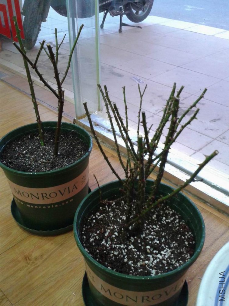 ������С ������С ��ת 20150111_170815.jpg