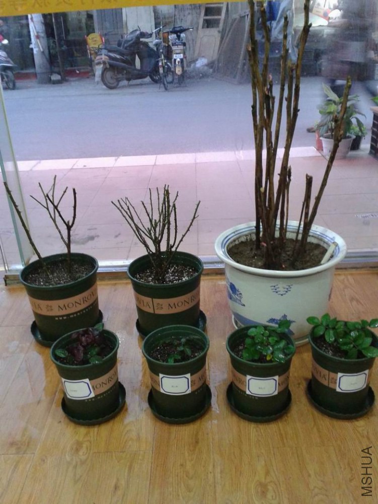 ������С ������С ��ת 20150111_170835.jpg