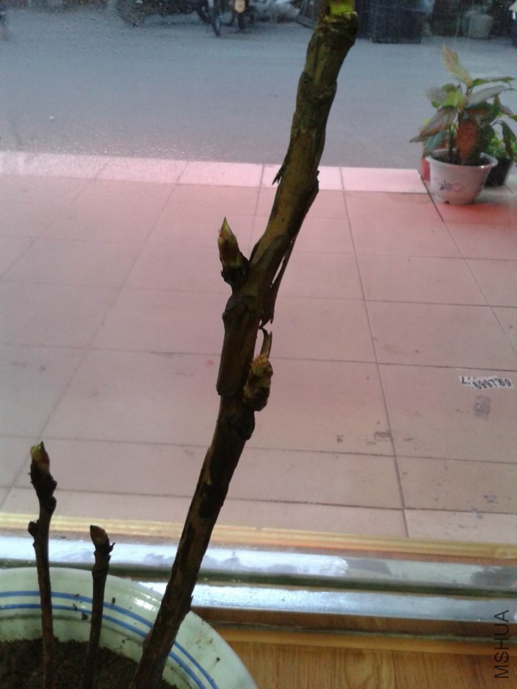 ������С ��ת 20150111_170802.jpg