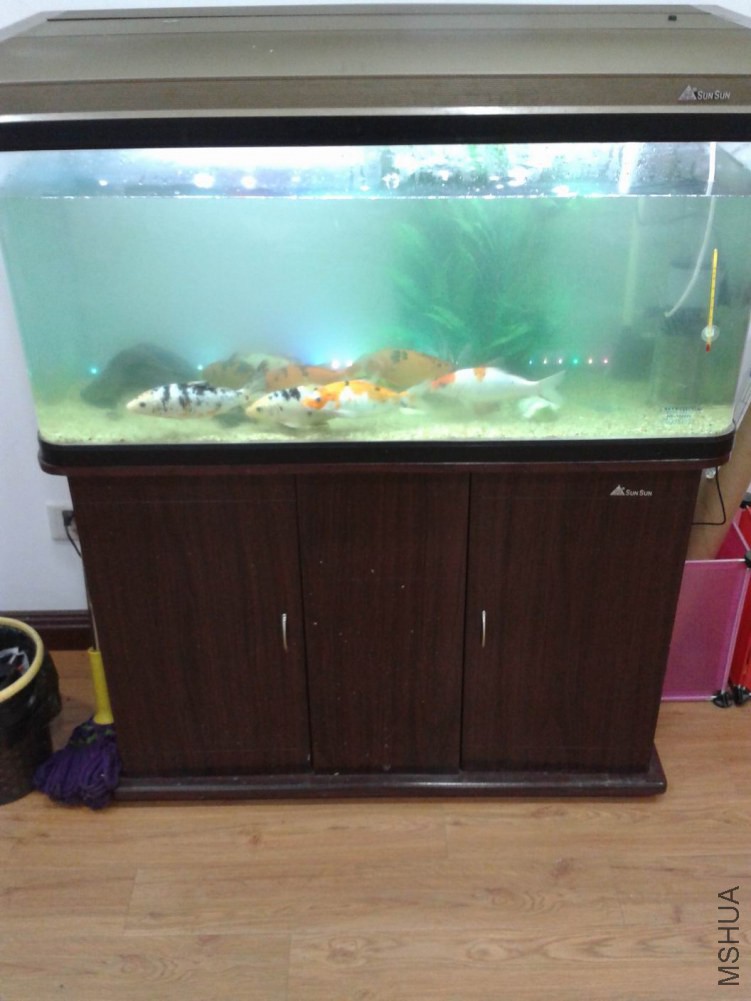 ������С ��ת 20150111_170845.jpg