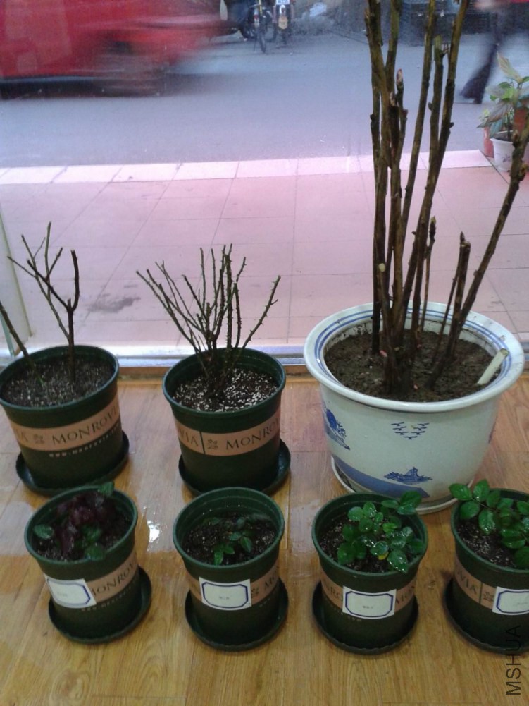 ��ת ������С 20150111_170749.jpg