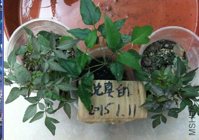 QQͼƬ20150111183440.jpg