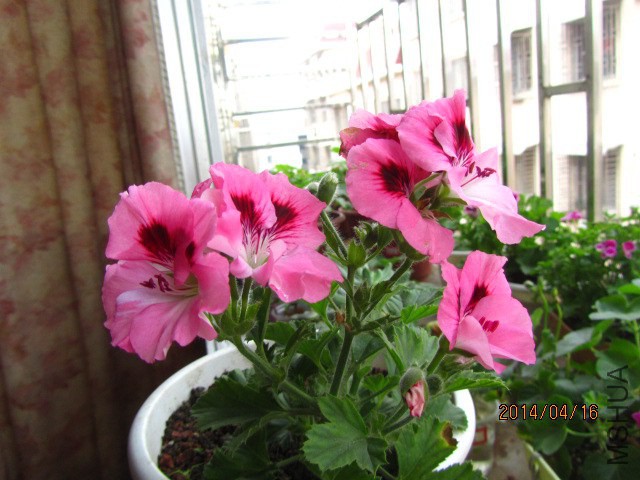 IMG_9218.jpg