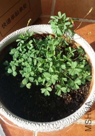 20150110_094739 (1).jpg