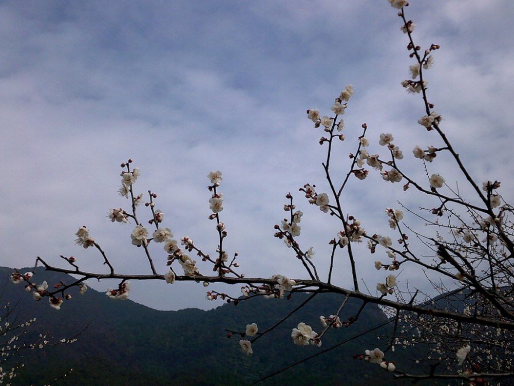 DSCF0183.JPG