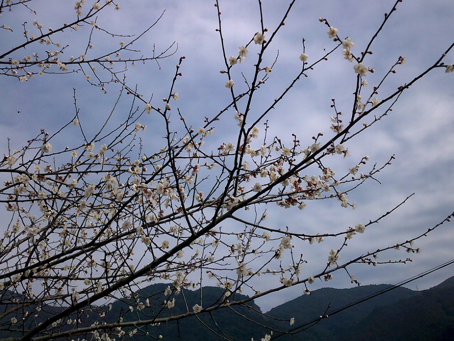 DSCF0187.JPG