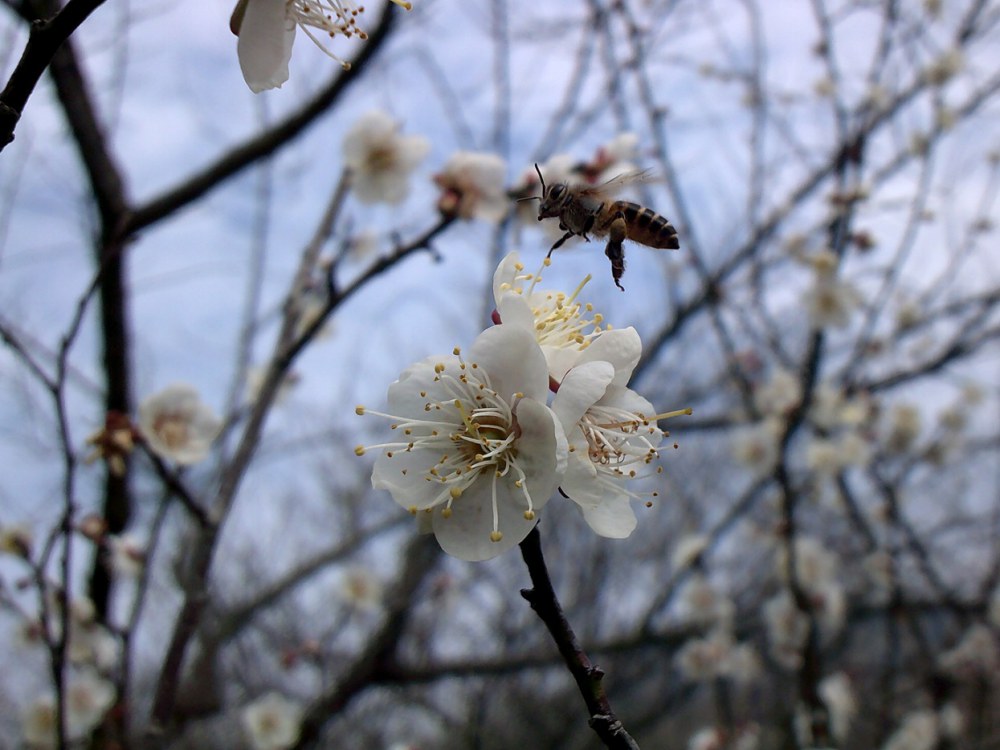 DSCF0159.JPG