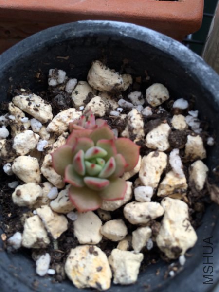 �� 015_450x600.jpg