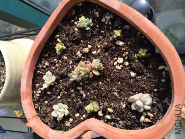 �� 003_600x450.jpg