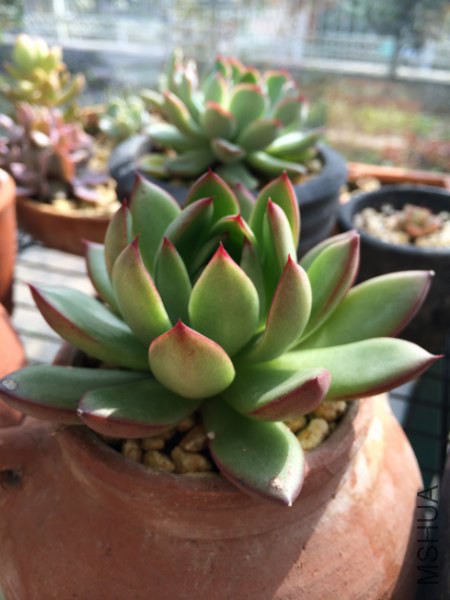 �� 014_450x600.jpg