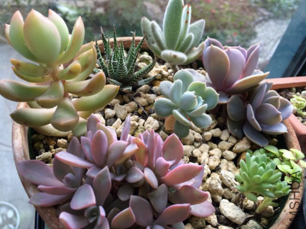 �� 011_600x450.jpg