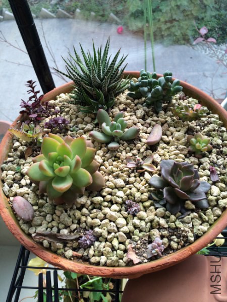 �� 013_450x600.jpg