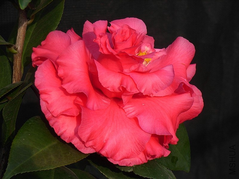 4-6.JPG
