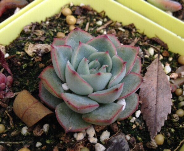QQͼƬ20150110183208.jpg