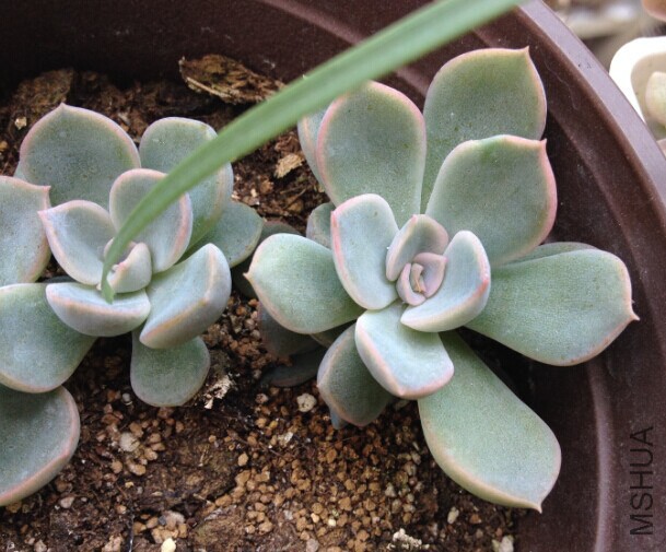 QQͼƬ20140904182629.jpg