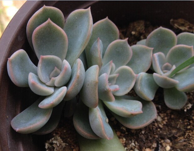 QQͼƬ20140904182634.jpg