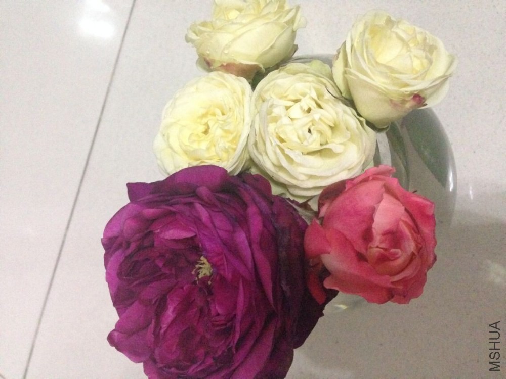 QQͼƬ20150114202731.jpg