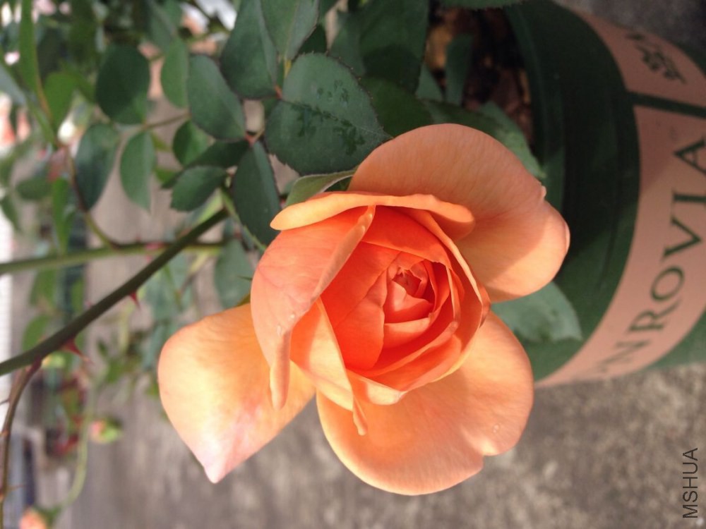 QQͼƬ20150114203043.jpg