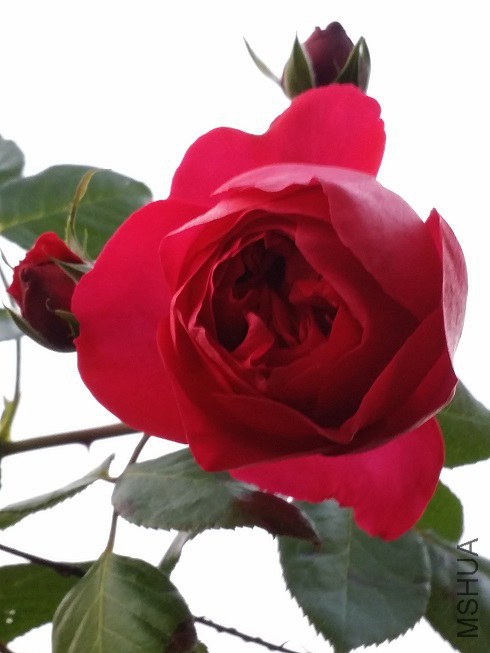 20141026_165724.jpg